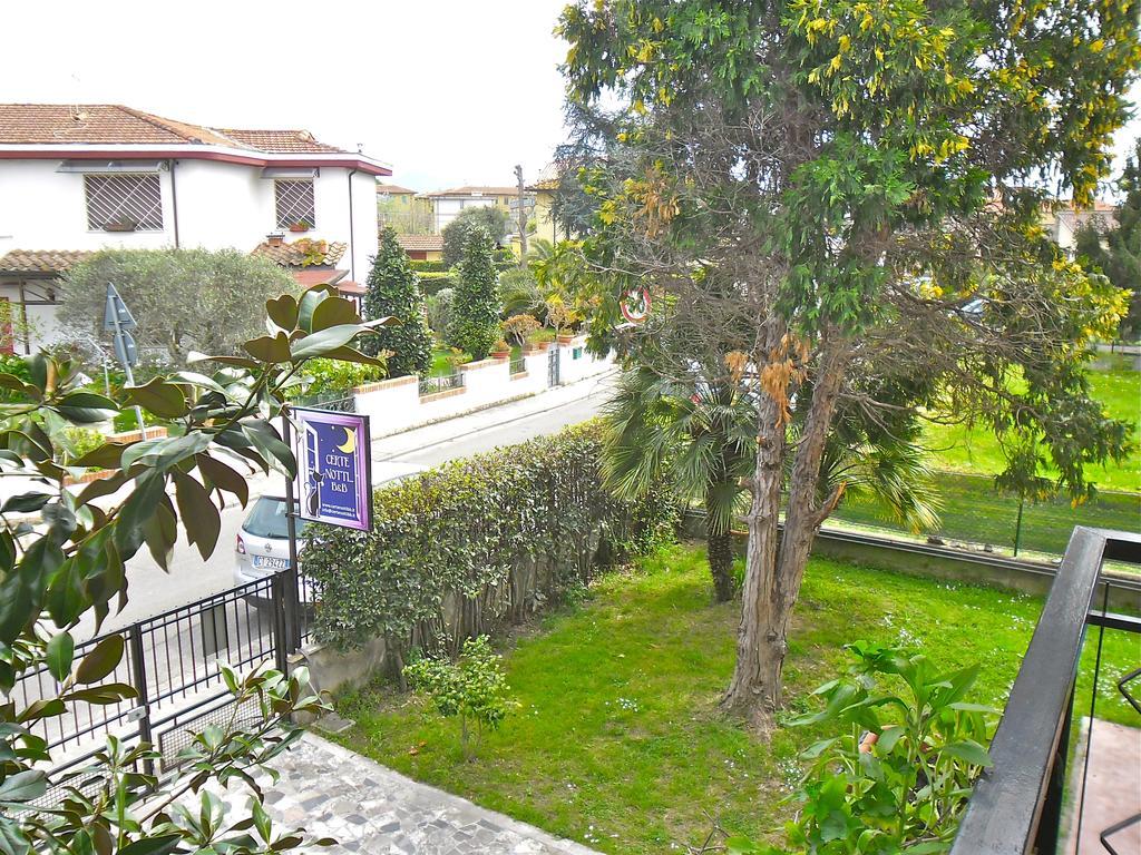 Certe Notti Bed & Breakfast Pisa Luaran gambar