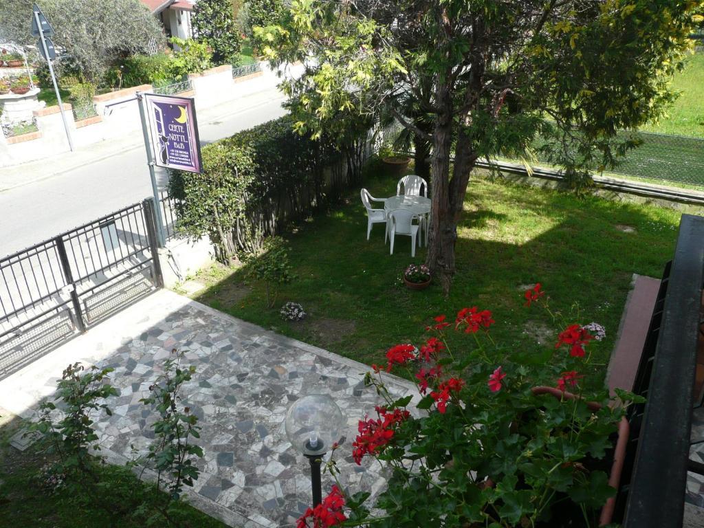 Certe Notti Bed & Breakfast Pisa Luaran gambar